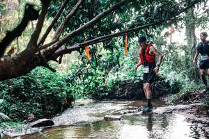 BIB: 
                            <button type="button" onclick="openModal(25399536)" class="btn btn-primary btn-sm float-right btn-popup" data-toggle="modal" data-target=".modal-high-quality">
                        <i class="fas fa-shopping-cart"></i> Add to Cart
                    </button>
                                            <button type="button" onclick="isThisMe(25399536, true)" class="btn btn-success btn-sm float-right btn-popup btn-isme hidden" data-toggle="tooltip" data-placement="bottom" title="นี่คือรูปของคุณใช่ไหม คลิกที่นี่เพื่อเอาเข้าอัลบั้ม">
                        <i class="fas fa-plus"></i> Add to album
                    </button>
                    <button type="button" onclick="isThisMe(25399536, false)" class="btn btn-warning btn-sm float-right btn-popup btn-isnotme hidden">
                        <i class="fas fa-ban"></i> Remove from album
                    </button>